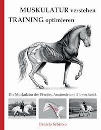 Muskulatur verstehen - Training optimieren - Daniela Schinko - E-Book