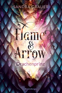 Flame & Arrow, Band 1 - Drachenprinz - Sandra Grauer - E-Book