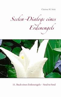 Seelen-Dialoge eines Erdenengels - Clarissa M. Seite - E-Book