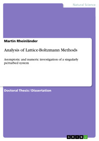 Analysis of Lattice-Boltzmann Methods - Martin Rheinländer - E-Book