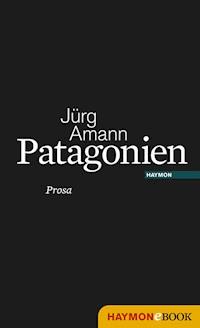 Patagonien - Jürg Amann - E-Book
