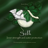 Silk - Inner strength and outer protection - Katrin Rabe - E-Book