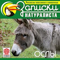 Ослы - Э. Сквайр - Hörbuch