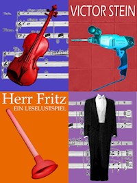 Herr Fritz oder Der Geiger als Hausmeister - Victor Stein - E-Book