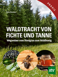 Waldtracht von Fichte und Tanne - Peter Buchner - E-Book