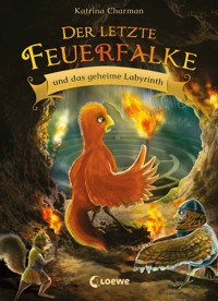 Der letzte Feuerfalke und das geheime Labyrinth (Band 10) - Katrina Charman - E-Book