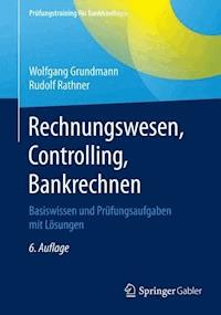 Rechnungswesen, Controlling, Bankrechnen - Wolfgang Grundmann - E-Book