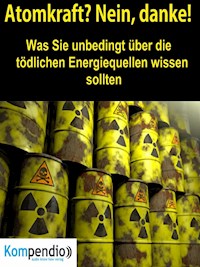 Atomkraft? Nein, danke! - Alessandro Dallmann - E-Book
