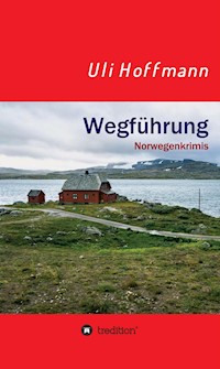 Wegführung - Uli Hoffmann - E-Book