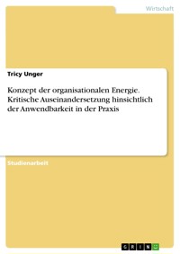 Konzept der organisationalen Energie. Kritische Auseinandersetzung hinsichtlich der Anwendbarkeit in der Praxis - Tricy Unger - E-Book