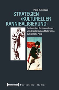 Strategien ›kultureller Kannibalisierung‹ - Peter W. Schulze - kostenlos E-Book