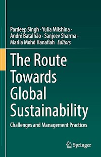The Route Towards Global Sustainability - - E-Book