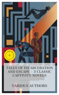 Tales of Incarceration and Escape – 3 Classic Captivity Novels - Fyodor Dostoevsky - E-Book