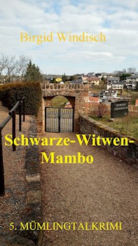 Schwarze-Witwen-Mambo - Birgid Windisch - E-Book
