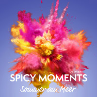 Der Sommer am Meer - Erotische Geschichte - spicy moments, Band 15 (Ungekürzte Lesung) - spicy moments by argon - Hörbuch