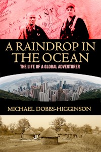 A Raindrop in the Ocean - Michael Dobbs-Higginson - E-Book