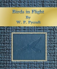 Birds in Flight - W. P. Pycraft - E-Book