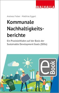 Kommunale Nachhaltigkeitsberichte - Andreas Fieber - E-Book