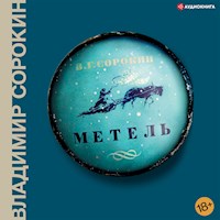 Метель - Сорокин Владимир - Hörbuch
