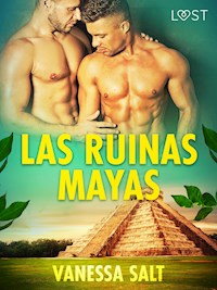 Las ruinas mayas - Vanessa Salt - E-Book