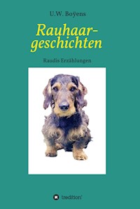 Rauhaargeschichten - U.W. Boÿens - E-Book