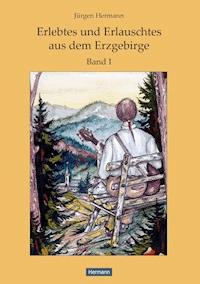 Erlebtes und Erlauschtes aus dem Erzgebirge - Jürgen Hermann - E-Book