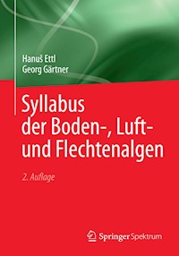 Syllabus der Boden-, Luft- und Flechtenalgen - Hanuš Ettl - E-Book
