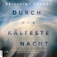 Durch die kälteste Nacht - Compass-Reihe, Teil 1 (Ungekürzt) - Brittainy Cherry - Hörbuch