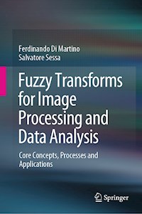 Fuzzy Transforms for Image Processing and Data Analysis - Ferdinando Di Martino - E-Book