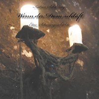 Wenn der Dom schläft - Katrin Scheiding - E-Book