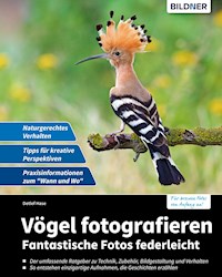 Vögel fotografieren - Detlef Hase - E-Book