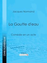 La Goutte d'eau - Jacques Normand - E-Book