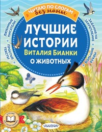 Лучшие истории Виталия Бианки о животных - Виталий Бианки - E-Book