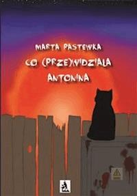 Co (prze)widziała Antonina - Marta Pastewka - E-Book