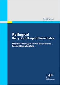Reifegrad - Der prioritätsspezifische Index - David Seidel - E-Book