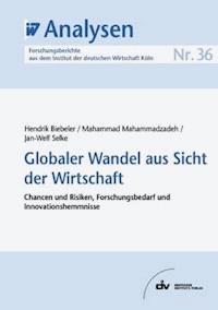 Globaler Wandel aus Sicht der Wirtschaft - Hendrik Biebeler - E-Book
