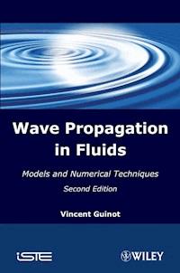 Wave Propagation in Fluids - Vincent Guinot - E-Book