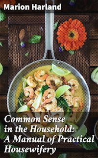 Common Sense in the Household: A Manual of Practical Housewifery - Marion Harland - E-Book
