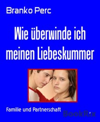Wie überwinde ich meinen Liebeskummer - Branko Perc - E-Book