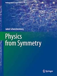 Physics from Symmetry - Jakob Schwichtenberg - E-Book