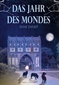 Das Jahr des Mondes - Anne Zandt - E-Book