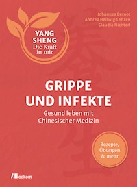 Grippe und Infekte (Yang Sheng 4) - Johannes Bernot - E-Book