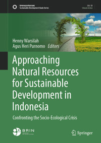 Approaching Natural Resources for Sustainable Development in Indonesia -  - E-Book