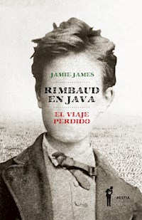 Rimbaud en Java - Jamie James - E-Book
