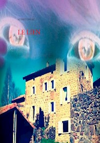 Le lien - Audrey Degal - E-Book