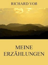 Meine Erzählungen - Richard Voß - E-Book