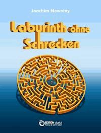 Labyrinth ohne Schrecken - Joachim Nowotny - E-Book
