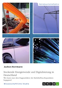Stockende Energiewende und Digitalisierung in Deutschland - Jochen Herrmann - E-Book