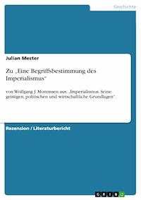 Zu „Eine Begriffsbestimmung des Imperialismus“ - Julian Mester - E-Book