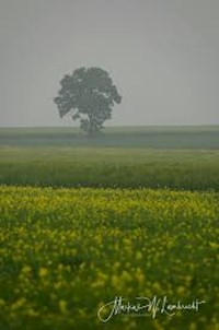 50 Geschichten zum Gruseln - Loreen Mildner - E-Book